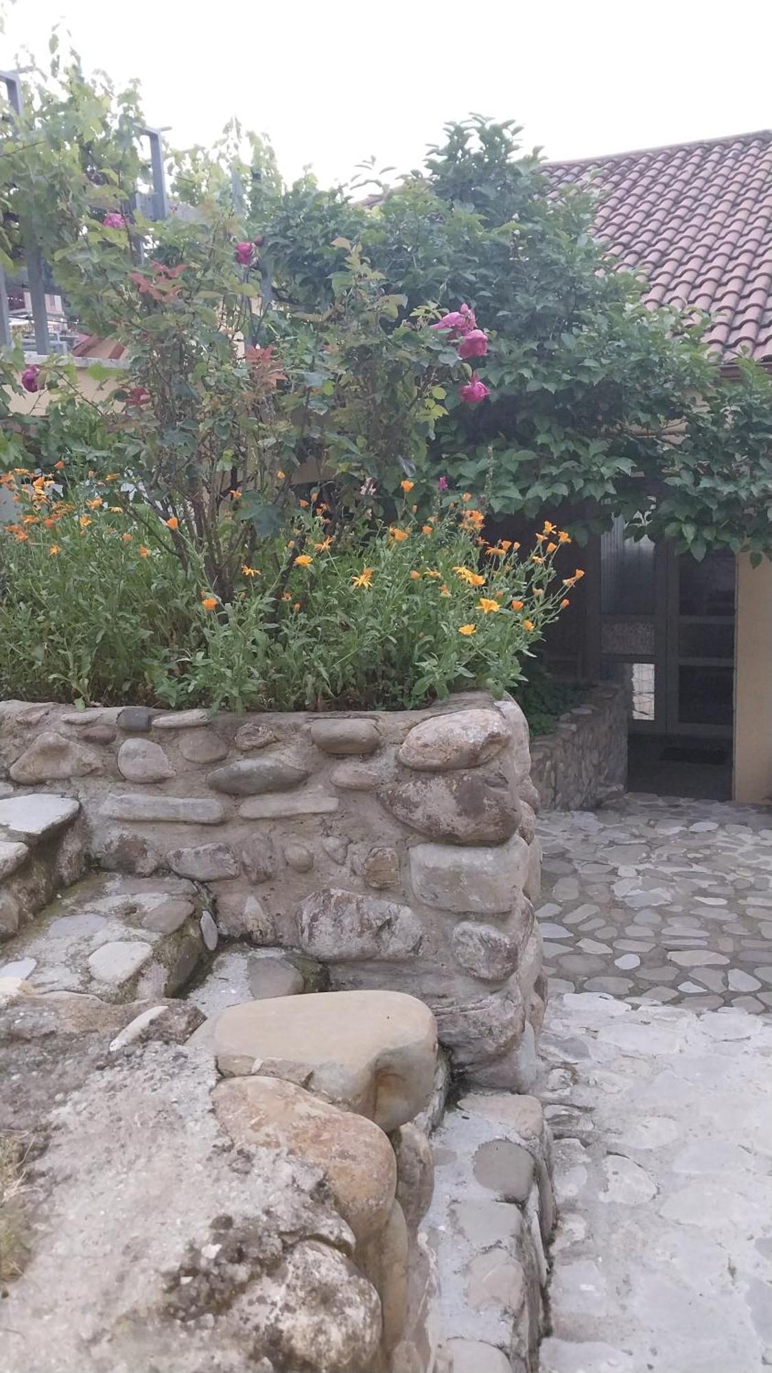 Hotel Vigor Sighnaghi Zewnętrze zdjęcie